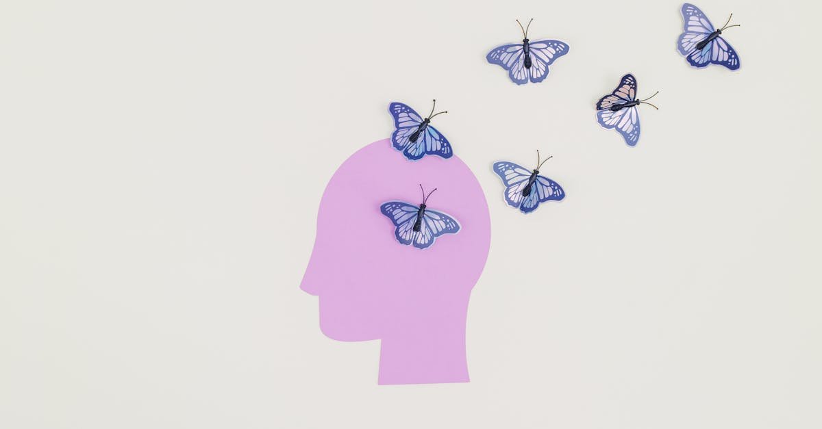 découvrez comment la psychologie des couleurs influence nos émotions et comportements. apprenez à utiliser les couleurs pour améliorer votre communication, votre marketing et vos choix de design.
